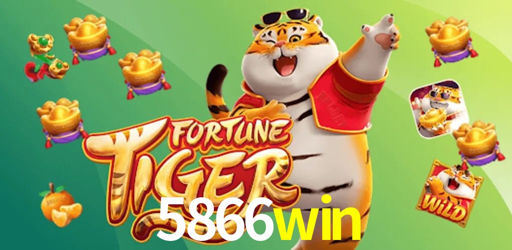 Experiência VIP 5866win
